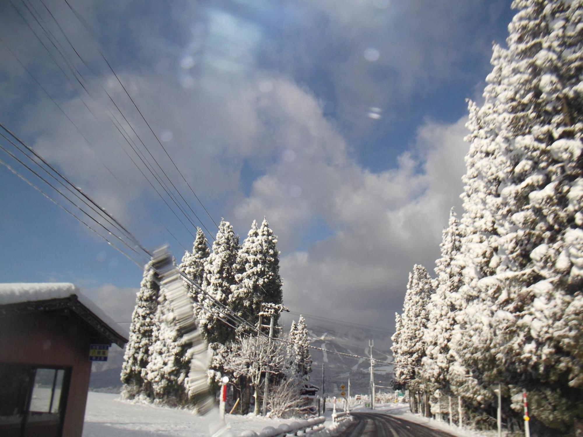Pension Green Lake Gujo Exterior photo